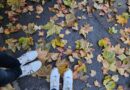 Vremea se schimbă radical la Constanța! Temperaturile scad cu aproape 10 grade, iar ploile cuprind litoralul