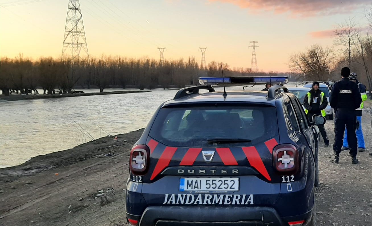 O lebădă rănită, salvată de jandarmii constănțeni