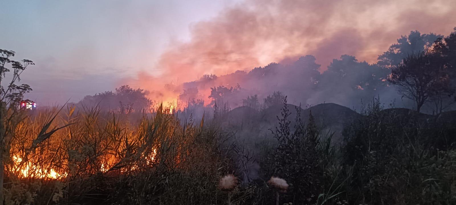 Incendiul de la Chilia nu a fost încă stins! -VIDEO