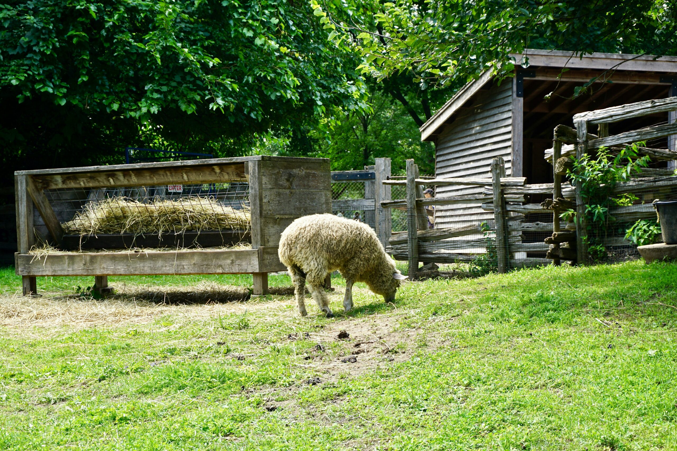 APIA eliberează adeverințe fermierilor crescători de animale care doresc să acceseze credite bancare