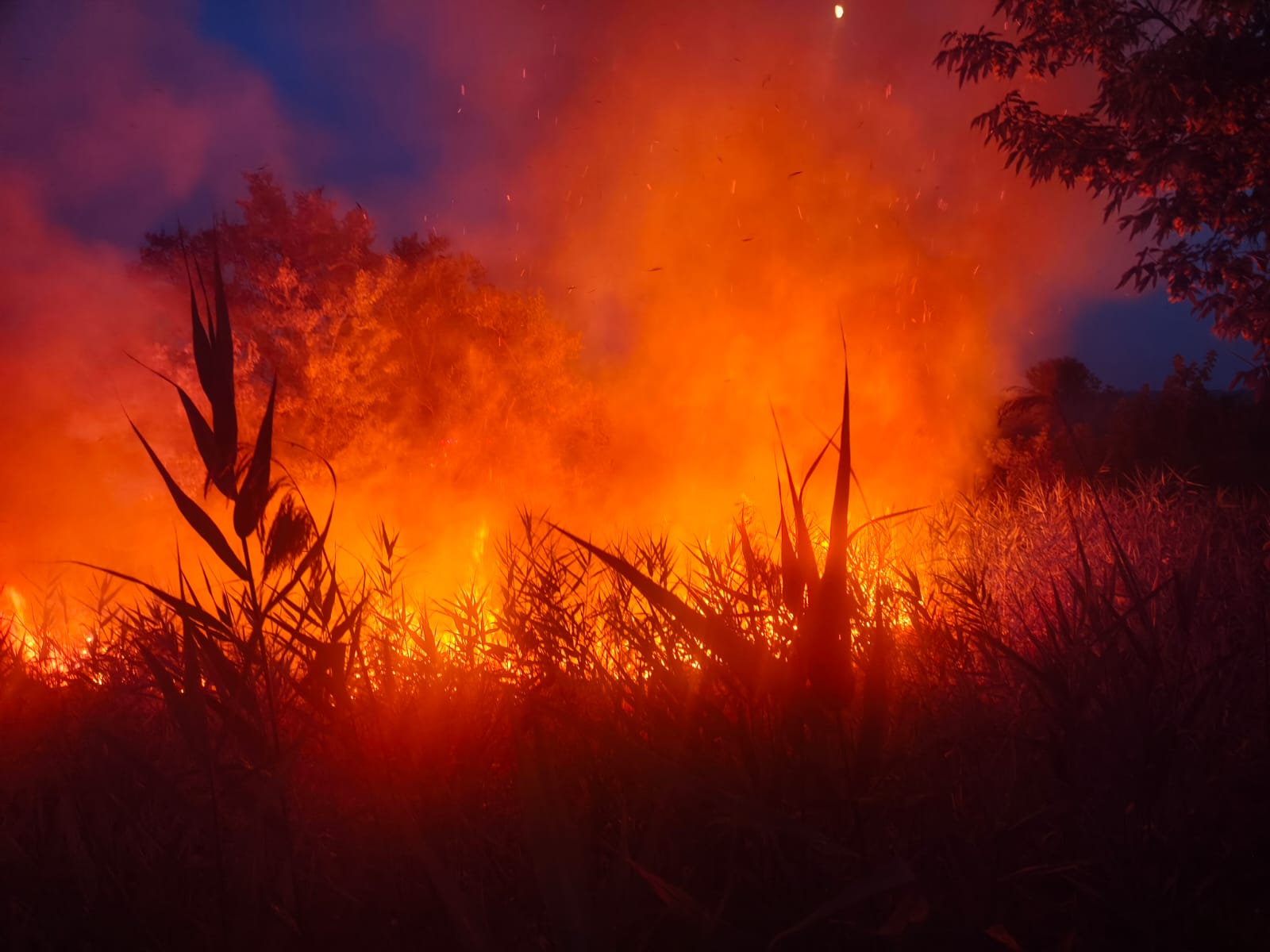 Incendiu reaprins lângă Chilia: Intervine un elicopter Black Hawk