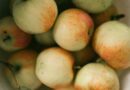 Septembrie, luna gustului românesc: Ce alimente de sezon merită consumate acum