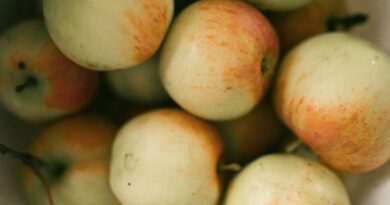 Septembrie, luna gustului românesc: Ce alimente de sezon merită consumate acum