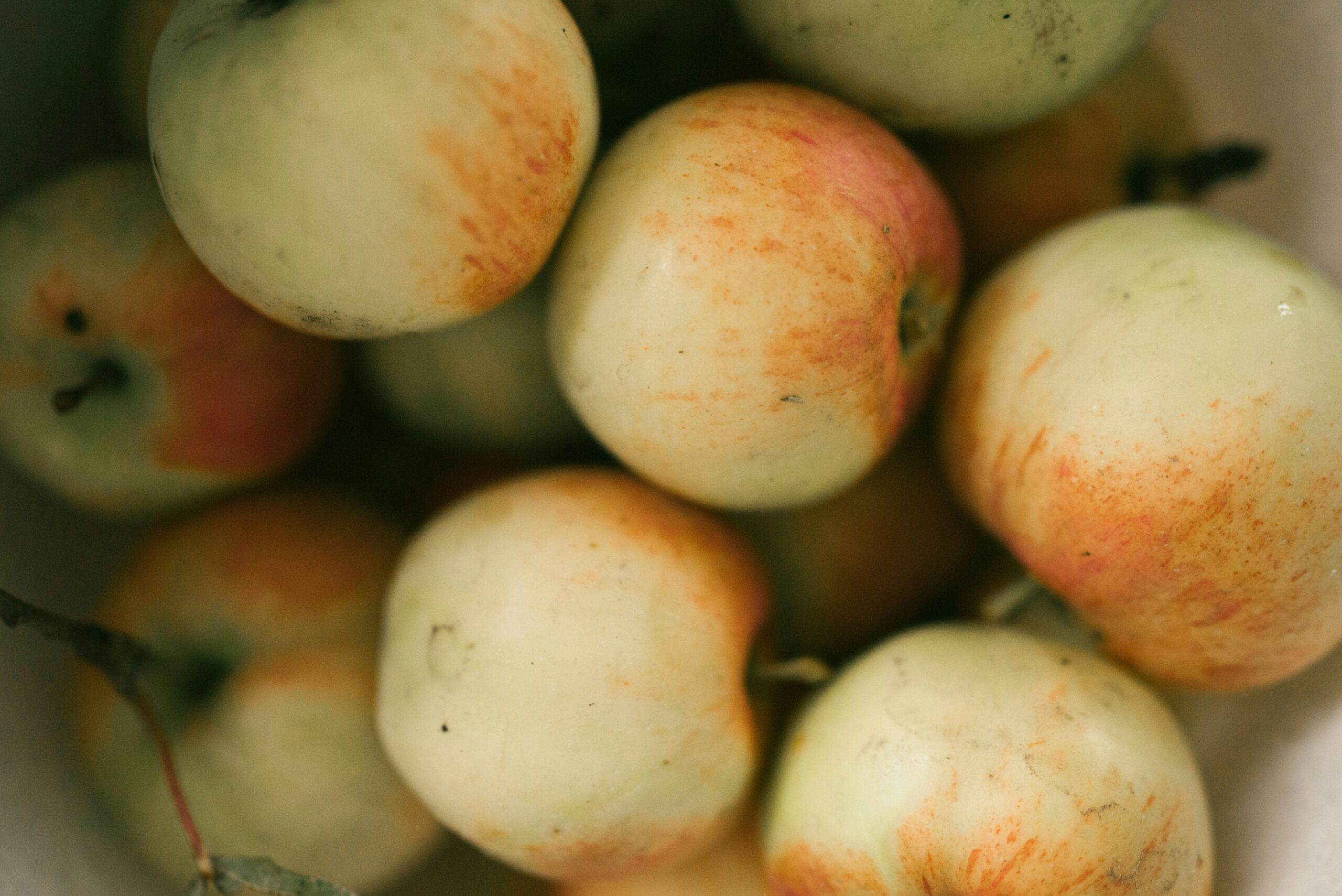 Septembrie, luna gustului românesc: Ce alimente de sezon merită consumate acum