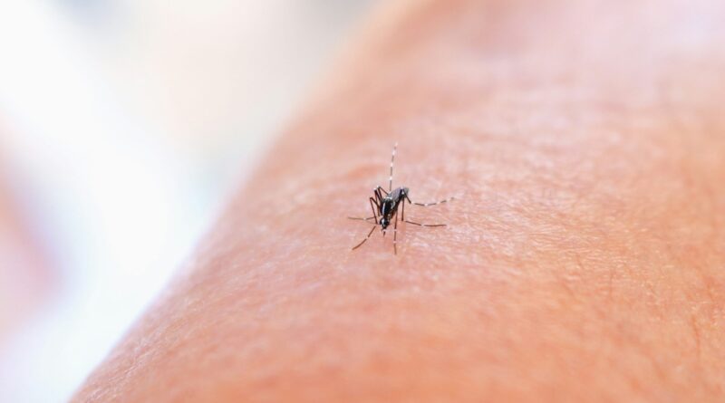21 de cazuri de infecție cu virusul West Nile înregistrate de la începutul lunii iunie