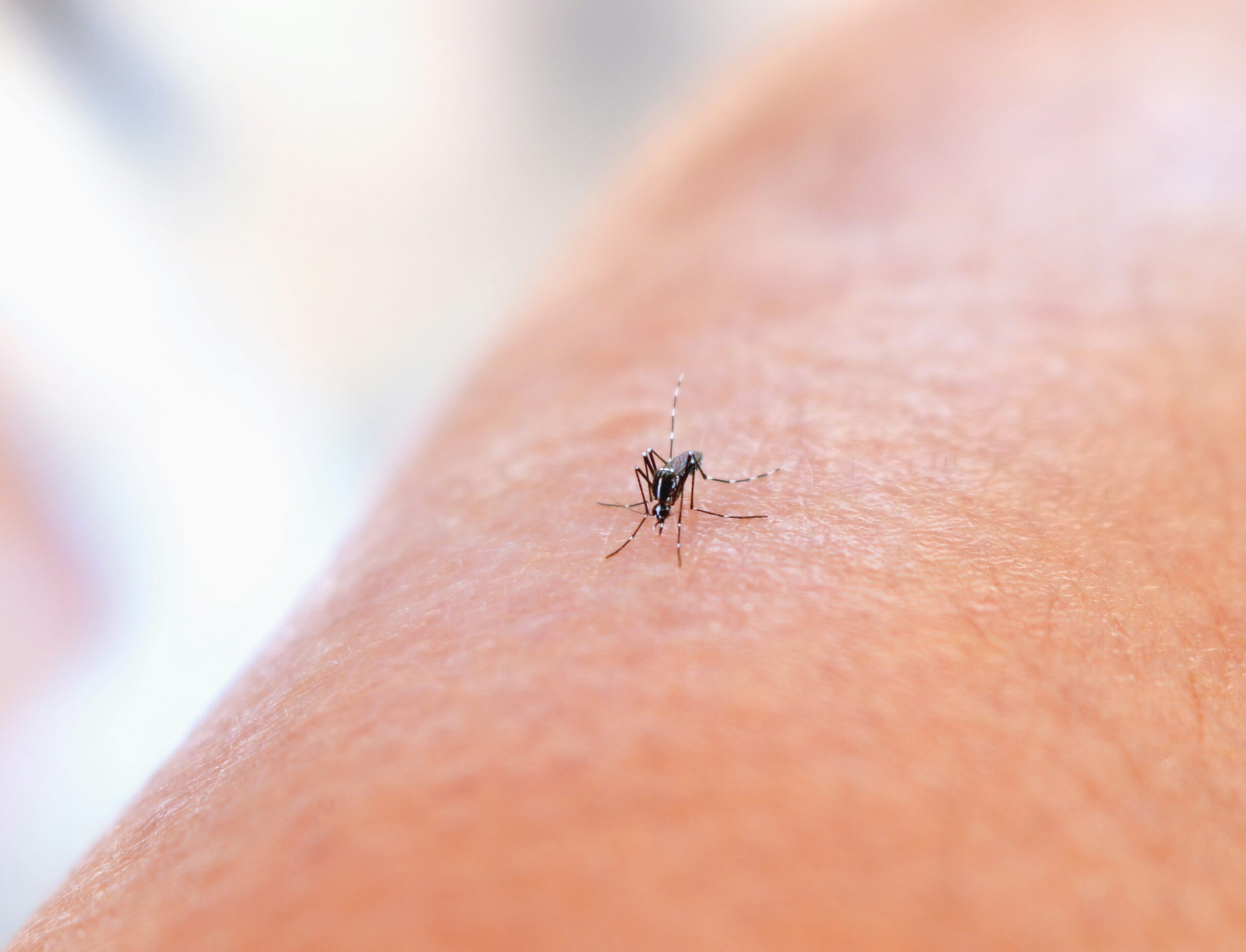 21 de cazuri de infecție cu virusul West Nile înregistrate de la începutul lunii iunie