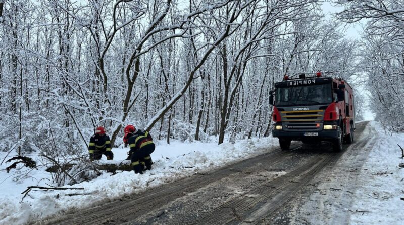 ISU Constanța și Tulcea mobilizează resurse suplimentare pentru intervenții în teren