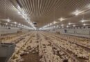 Amenzi de peste 44.000 de lei după controale la ferme de animale din județul Constanța