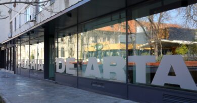 Galeria de Artă din Constanța s-a redeschis. Prima expoziție: „Sea Sisters. Povești la malul mării”