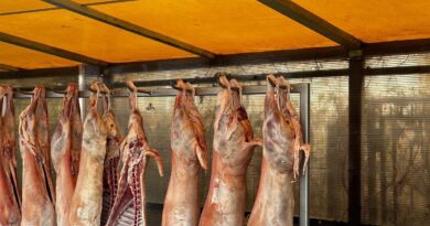 Controale ANPC: amenzi de peste 6,3 milioane lei și produse retrase de la vânzare