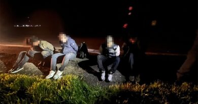 Tentativă de intrare ilegală în țară: cinci migranți, depistați la Negru Vodă