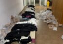 Capturi importante la frontiera de est: haine contrafăcute, plase ilegale și sturioni salvați