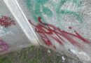 Doi adolescenți prinși în timp ce făceau graffiti în Parcul Arheologic din Constanța. Au fost amendați cu 1.500 de lei fiecare