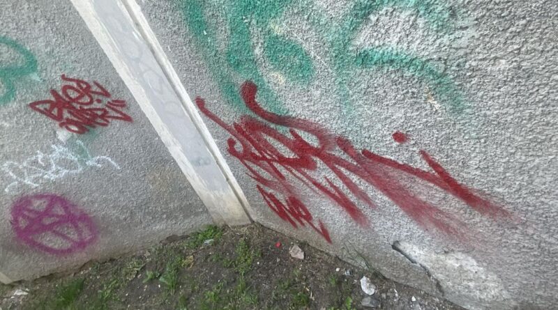 Doi adolescenți prinși în timp ce făceau graffiti în Parcul Arheologic din Constanța. Au fost amendați cu 1.500 de lei fiecare