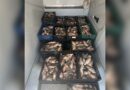 Braconaj piscicol în județul Constanța: aproape 800 kg de pește descoperite într-un microbuz