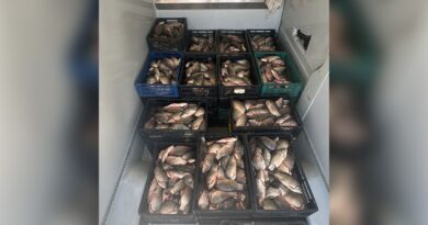 Braconaj piscicol în județul Constanța: aproape 800 kg de pește descoperite într-un microbuz