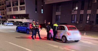 Razie de amploare în Constanța și Mamaia. Peste 1.300 de persoane legitimate și amenzi de peste 162.000 de lei