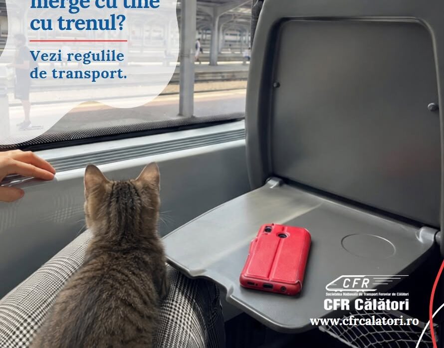 În ce condiții pot fi transportate animalele de companie în tren