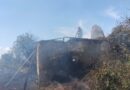 Incendiu puternic în Tulcea. Vegetația uscată a luat foc, iar flăcările s-au extins la o casă