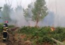 Peste 10.000 de incendii de vegetație în România, în doar opt luni. Numărul este în scădere, dar rămâne alarmant