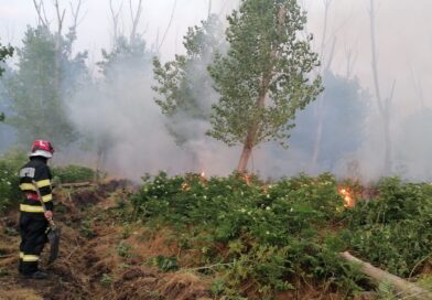Incendiul de pădure de la Rachelu a mistuit aproximativ 22 de hectare. De la ce ar fi pornit focul