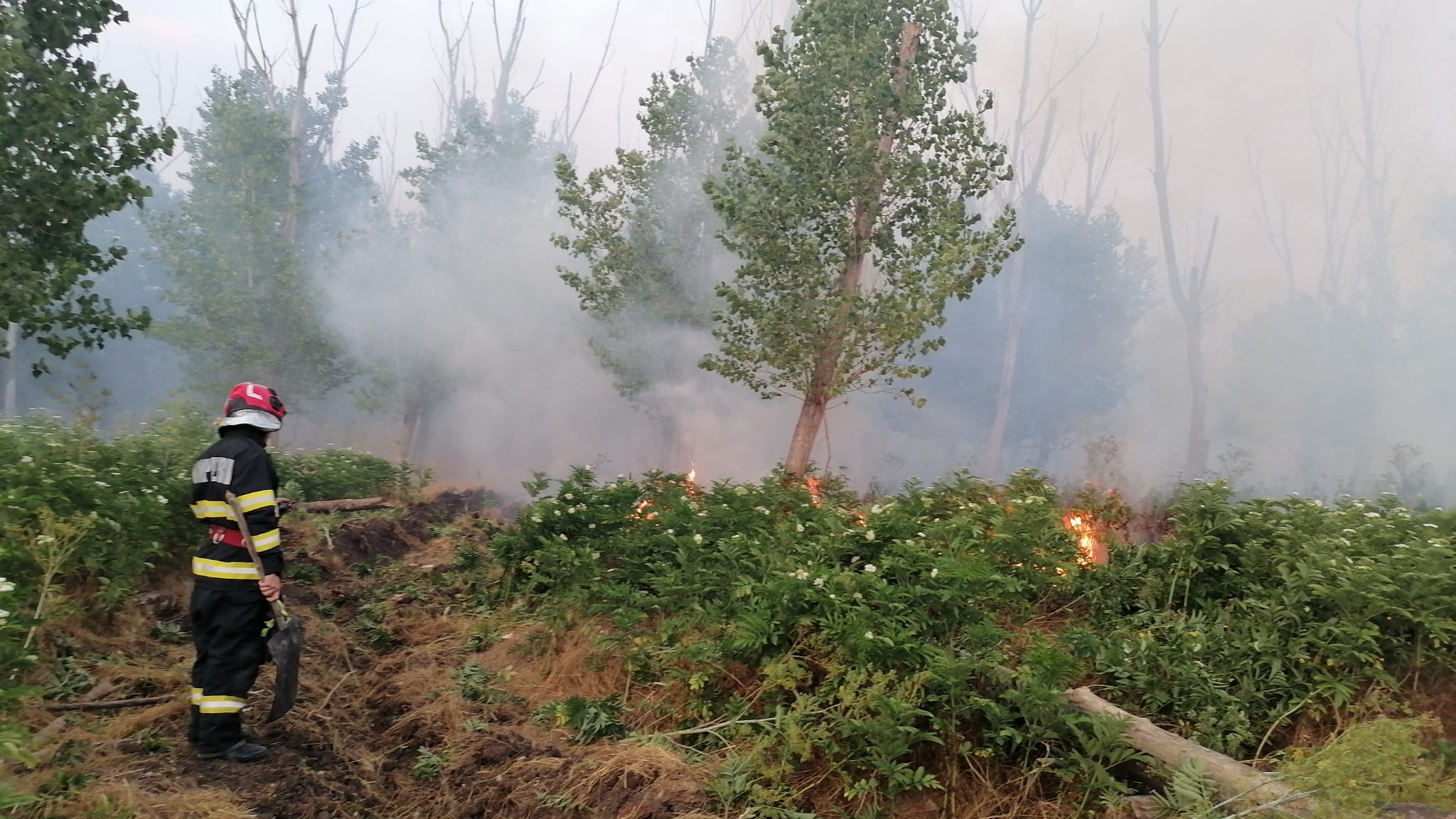 Incendiul de pădure de la Rachelu a mistuit aproximativ 22 de hectare. De la ce ar fi pornit focul