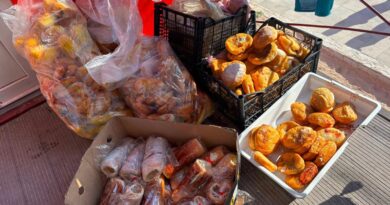 Comercianții, în vizorul polițiștilor la Eforie. Zeci de sancțiuni aplicate în doar două zile