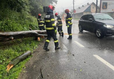 Bilanțul furtunilor din weekend: aproape 200 de copaci doborâți, zeci de locuințe inundate și 98 de mașini avariate