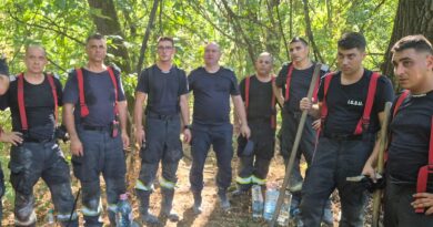 Pompieri români, trimiși în Bulgaria pentru stingerea incendiilor de vegetație. Misiune pe Insula Boril