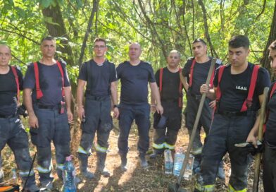 Pompieri români, trimiși în Bulgaria pentru stingerea incendiilor de vegetație. Misiune pe Insula Boril