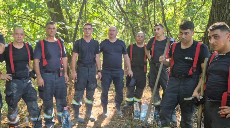 Pompieri români, trimiși în Bulgaria pentru stingerea incendiilor de vegetație. Misiune pe Insula Boril