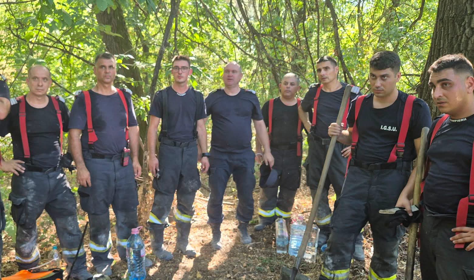 Pompieri români, trimiși în Bulgaria pentru stingerea incendiilor de vegetație. Misiune pe Insula Boril