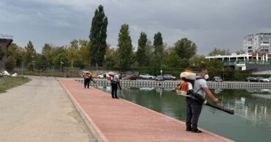 Noi acțiuni de dezinsecție și deratizare în Constanța și Mamaia. Atenție la momelile toxice amplasate în oraș