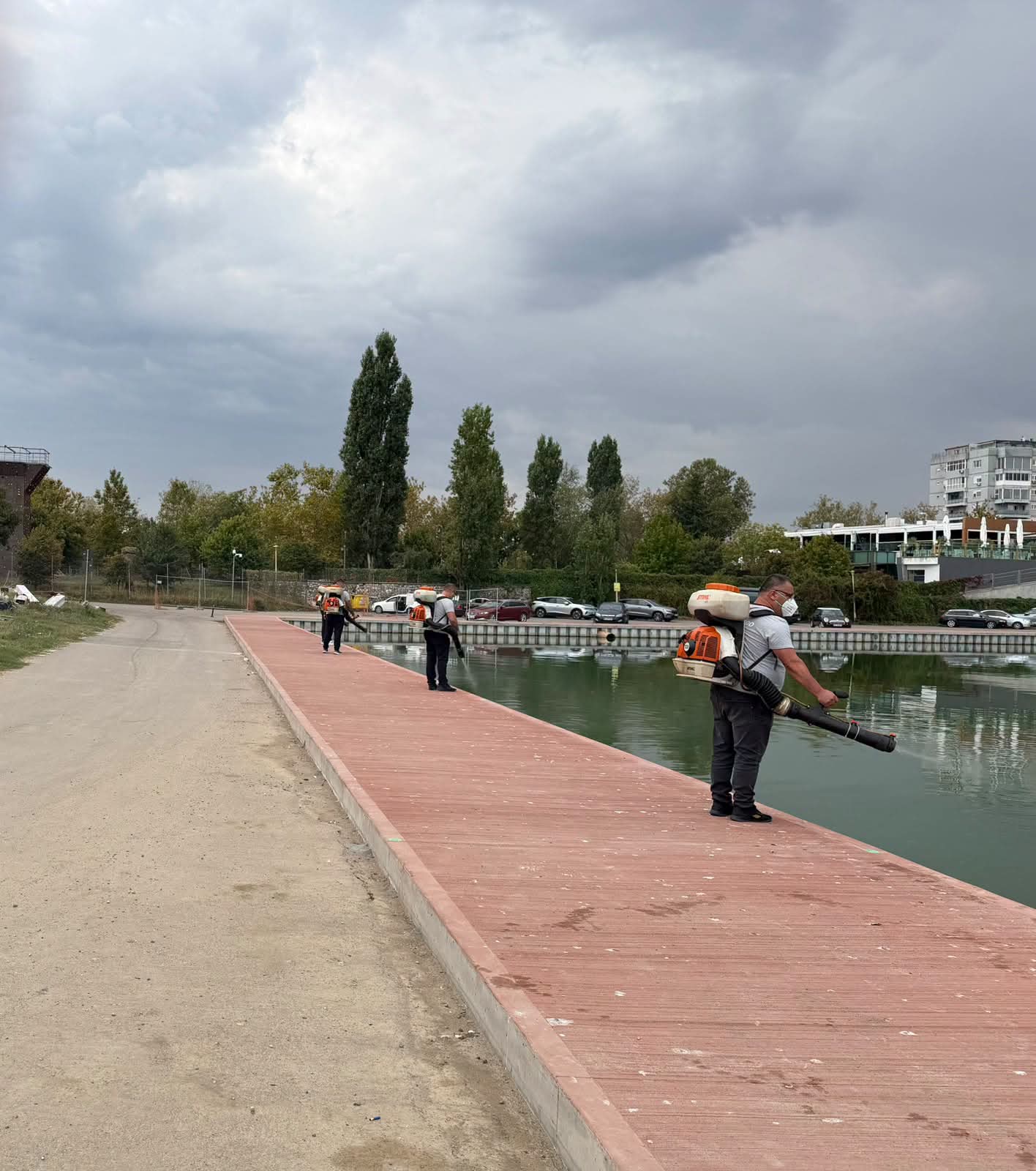 Noi acțiuni de dezinsecție și deratizare în Constanța și Mamaia. Atenție la momelile toxice amplasate în oraș