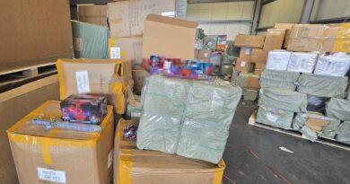 Captură uriașă în Portul Constanța. Aproape 60.000 de jucării suspectate că sunt contrafăcute, descoperite într-un container din China