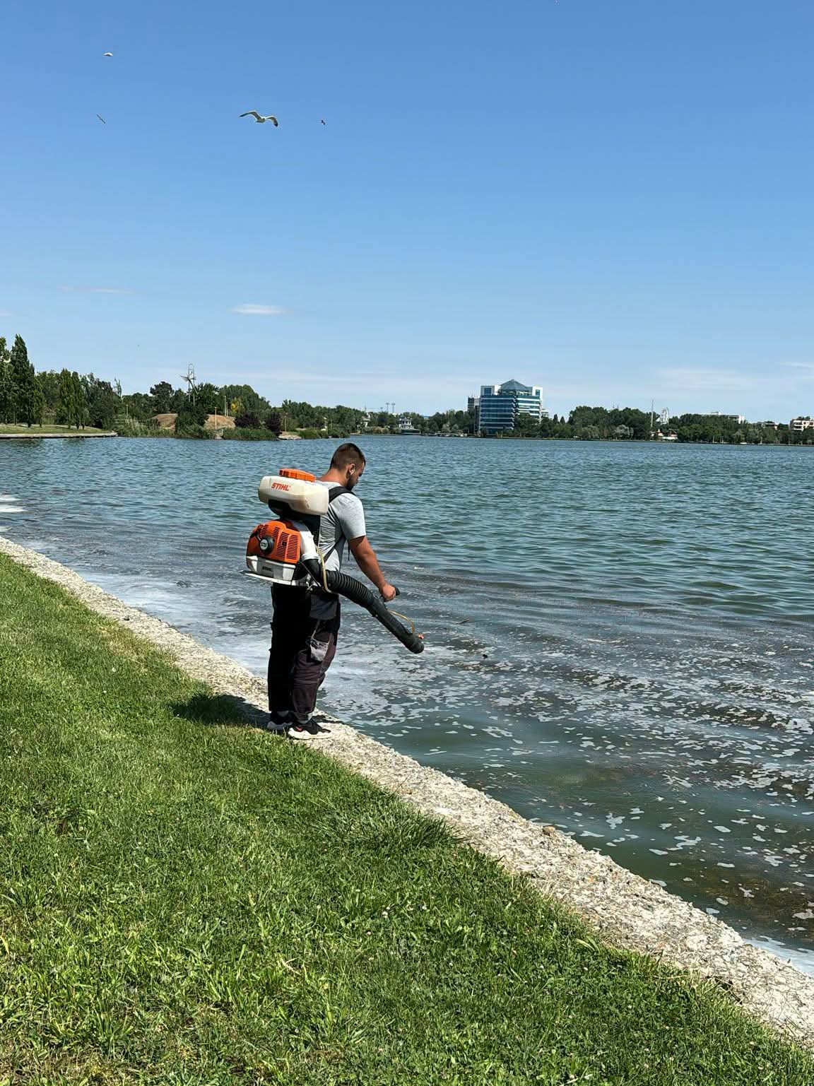 Primăria Constanța reia dezinsecția. Tratamente în oraș și Mamaia, iar apicultorii sunt avertizați să își protejeze stupii
