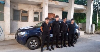 Cinci cetățeni irakieni, depistați după ce ar fi intrat ilegal în România. Au fost predați autorităților bulgare